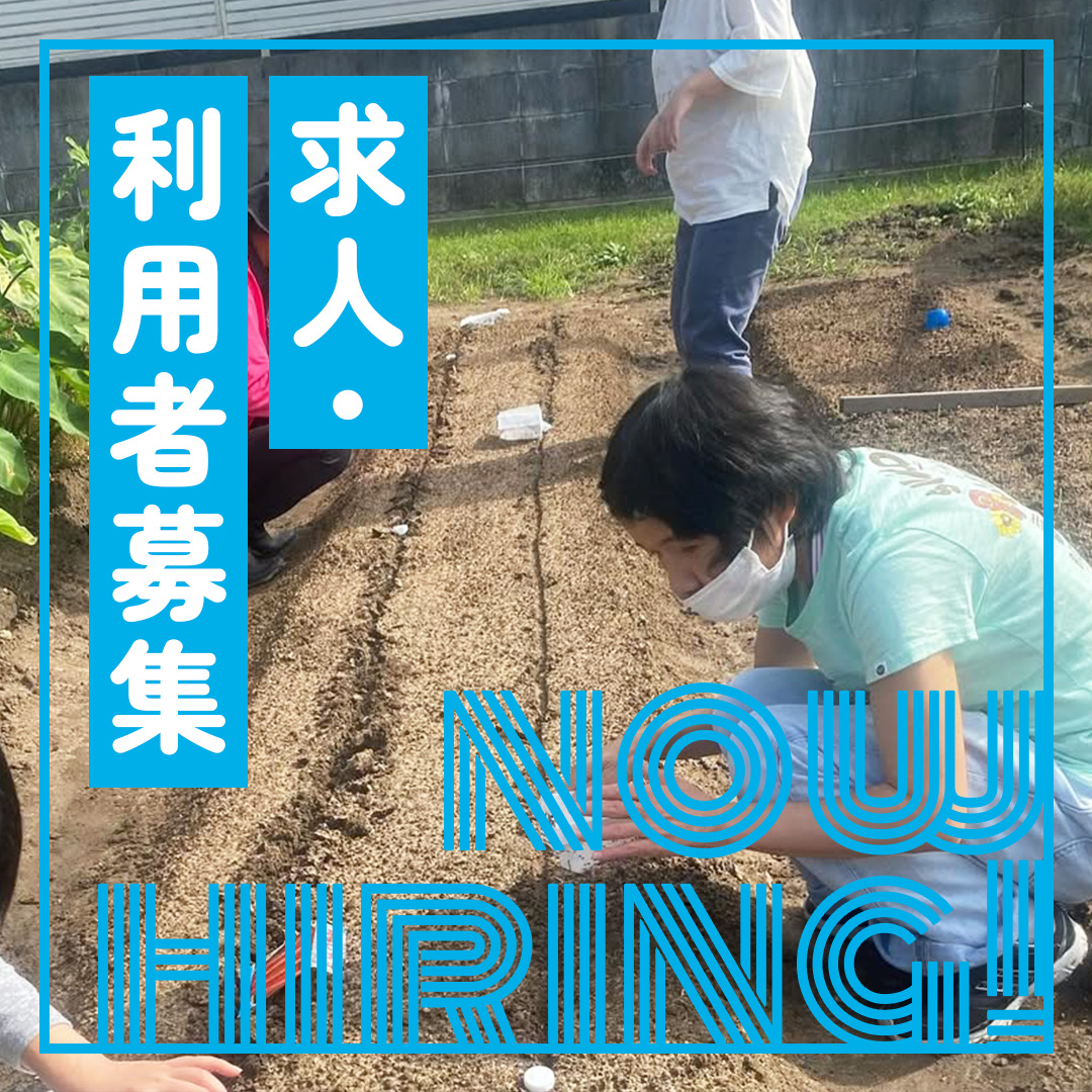 求人・利用者募集