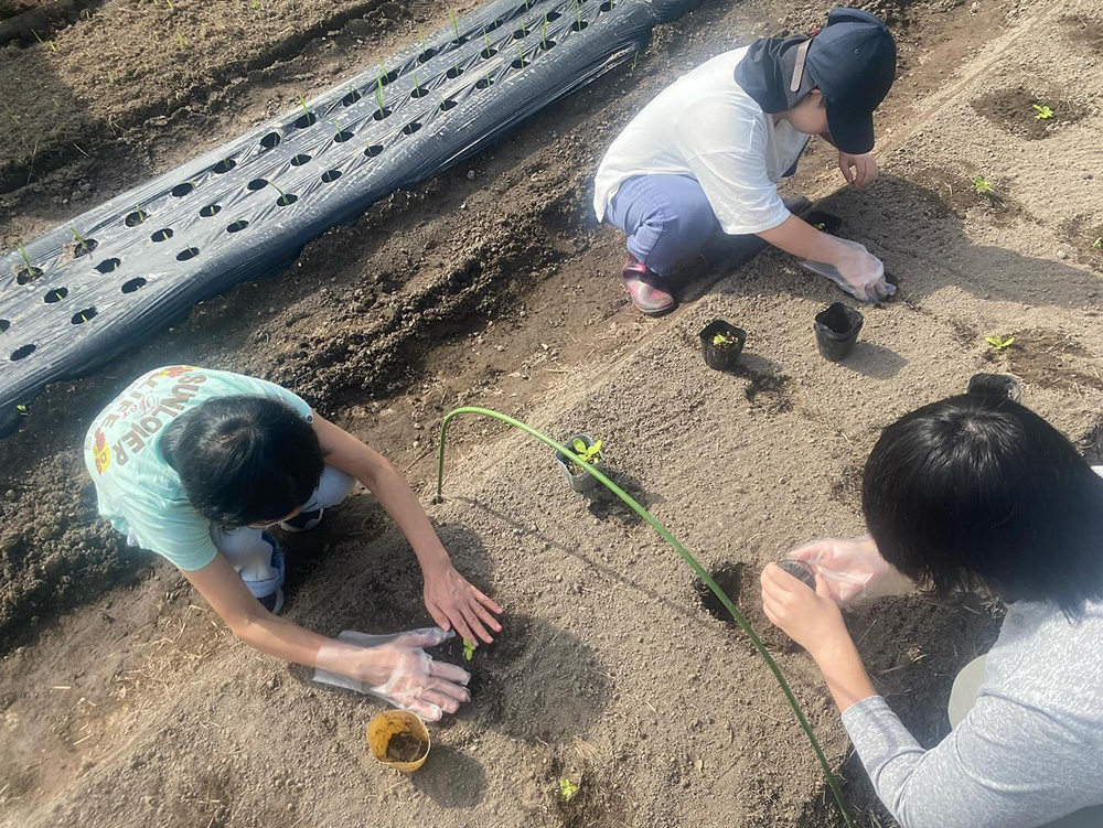 対象となる方画像